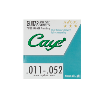 Acoustic Guitar Strings