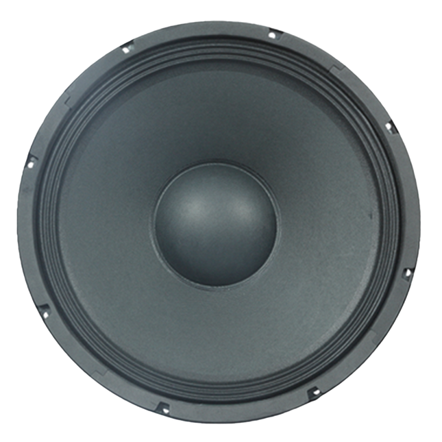 FTS 65F100 6.5" 100W Loose Speaker