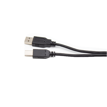 Astro Audio 1.8M USB AM-BM Printer Cable [CUSBAMUSBBM18]