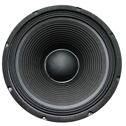 12" 250W Replacement Speaker [FTS 12F250]