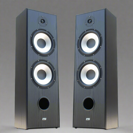 FTS 8'' Dual Passive Speaker Pair Black [FTS-D08 BK]