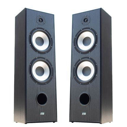 FTS 8'' Dual Passive Speaker Pair Black [FTS-D08 BK]