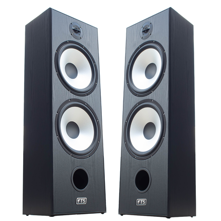 FTS 12'' Dual Passive Speaker Pair Black [FTS -D12 BK]