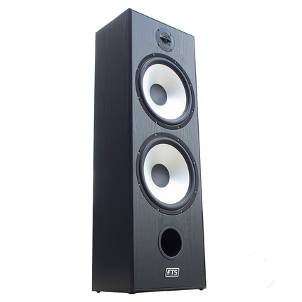 FTS 12'' Dual Passive Speaker Pair Black [FTS -D12 BK]