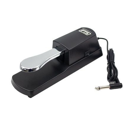 FTS DK-1 Sustain Pedal