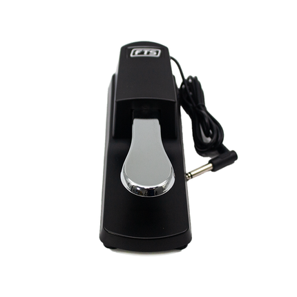 FTS DK-1 Sustain Pedal