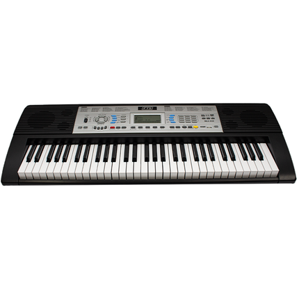 FTS- MLS-939 61 Keys Teaching Music Electronic Organ Keyboard.