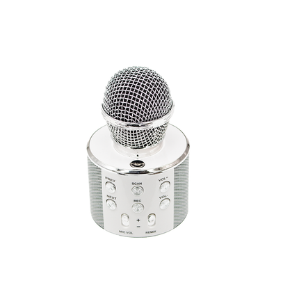 Lexuco Wireless Microphone Wifi Speaker [WS-858]