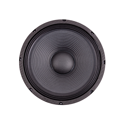 12" 250W Replacement Speaker [FTS 12F250]