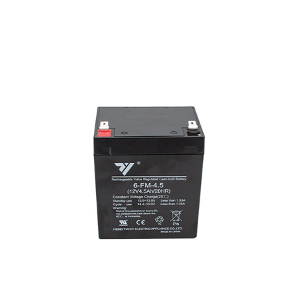 Tianyi 12V 4.5AH Battery F2 Black